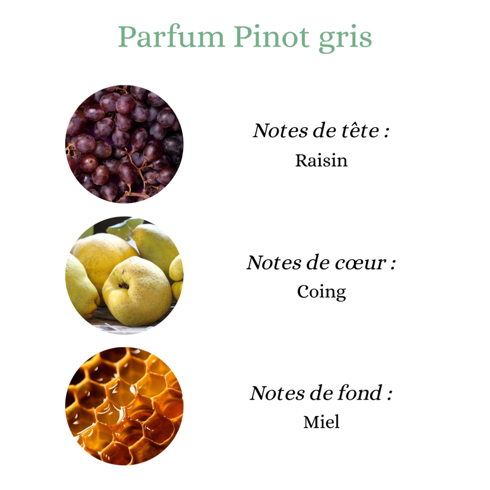 pinot gris.webp