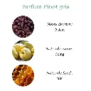 pinot gris.webp