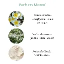 monoï (solaire).webp