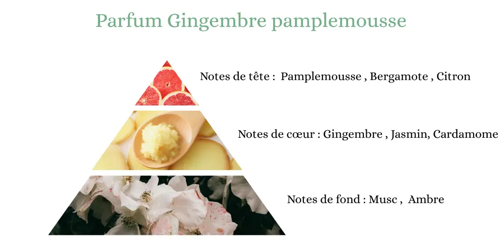 gingembre pamplemousse.webp