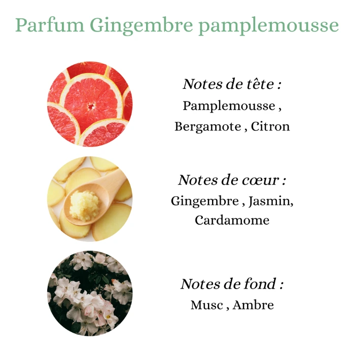 gingembre pamplemousse.webp