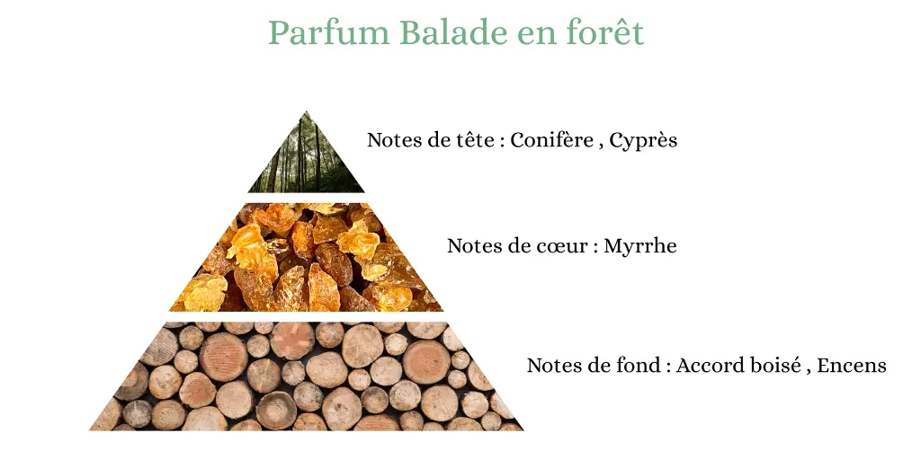 Pyramide senteurs (1).webp
