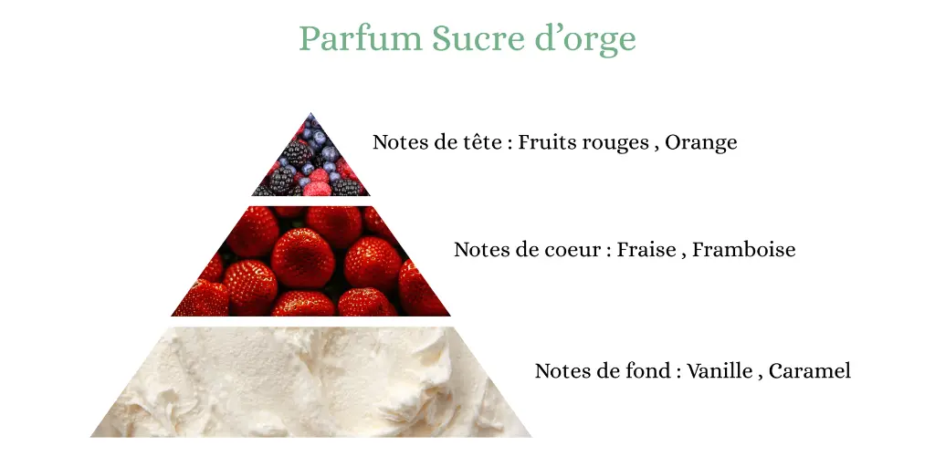 sucre d'orge.webp