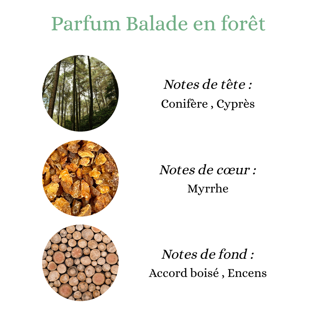 Pyramide carrée (1).png