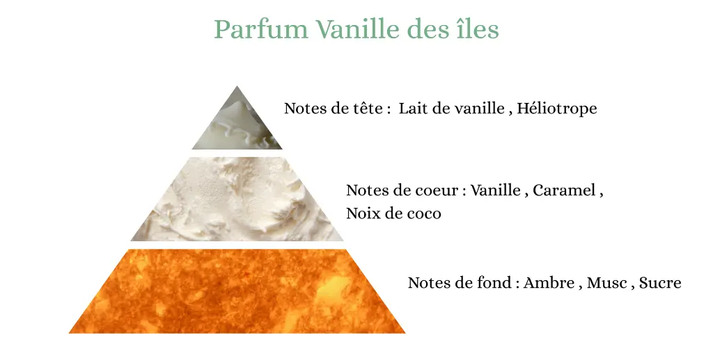 vanille des iles.webp