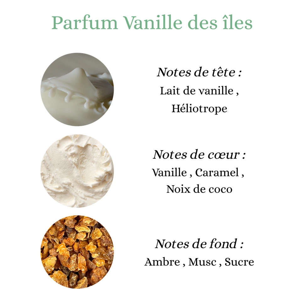 vanille des iles.webp