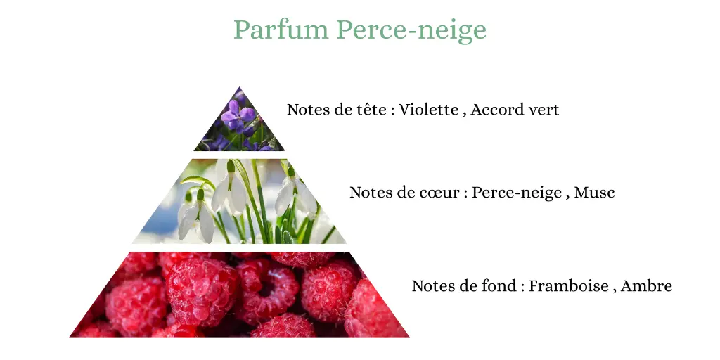 Perce-neige.webp