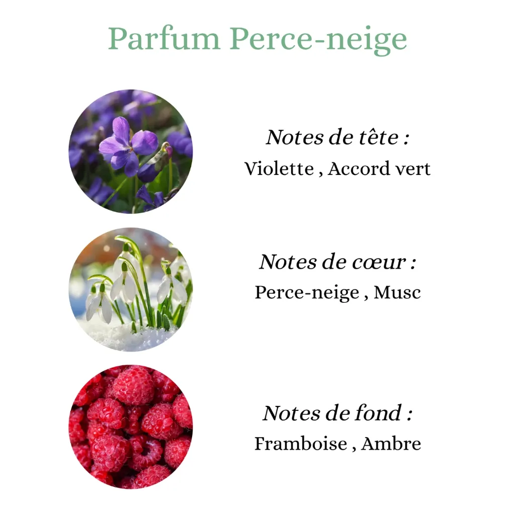 Perce-neige.webp