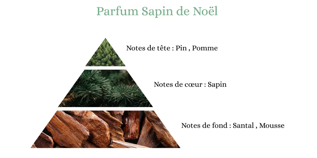 sapin de noel.webp