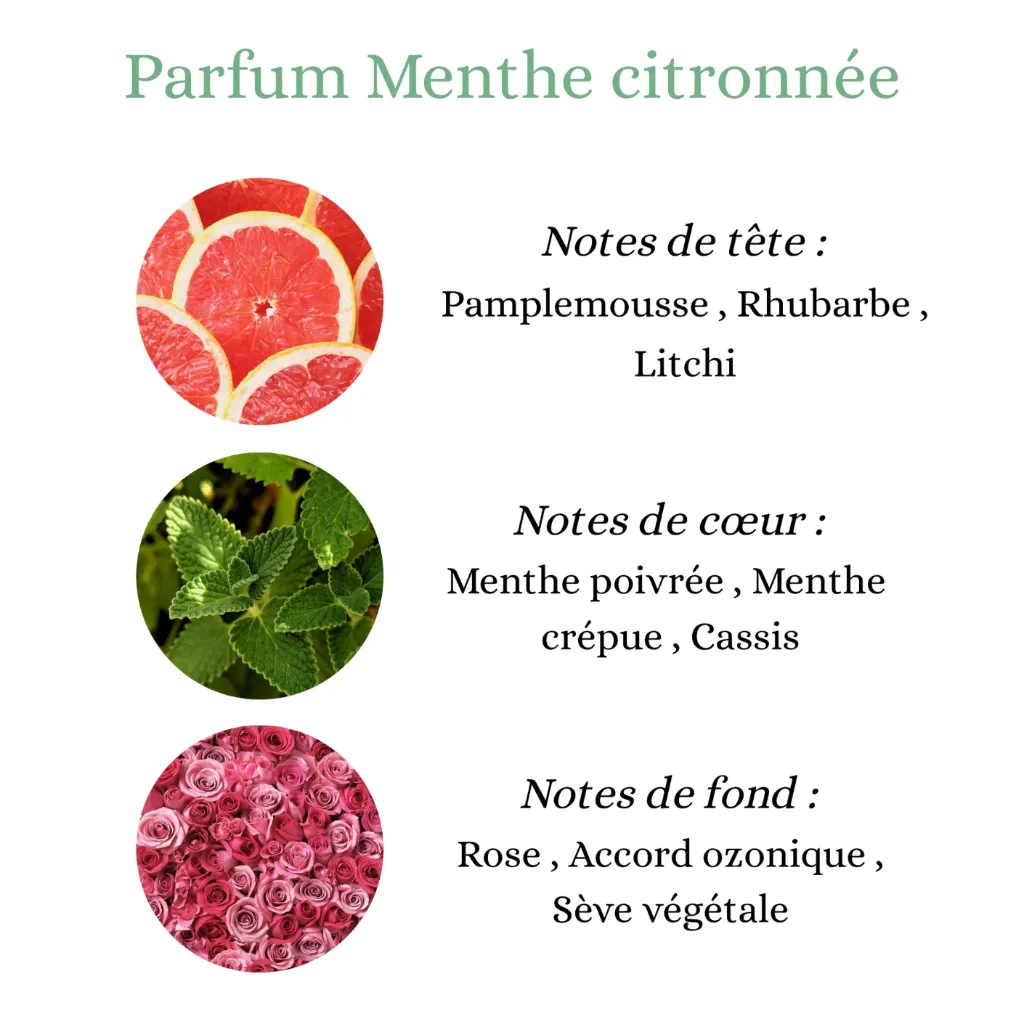 Pyramide senteurs (2).webp