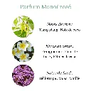 Pyramide senteurs (8).webp