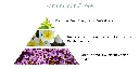 Pyramide senteurs (8).webp