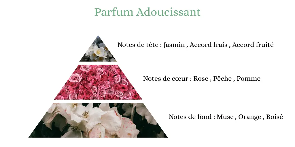 Pyramide senteurs (14).webp
