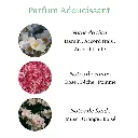 Pyramide senteurs (14).webp