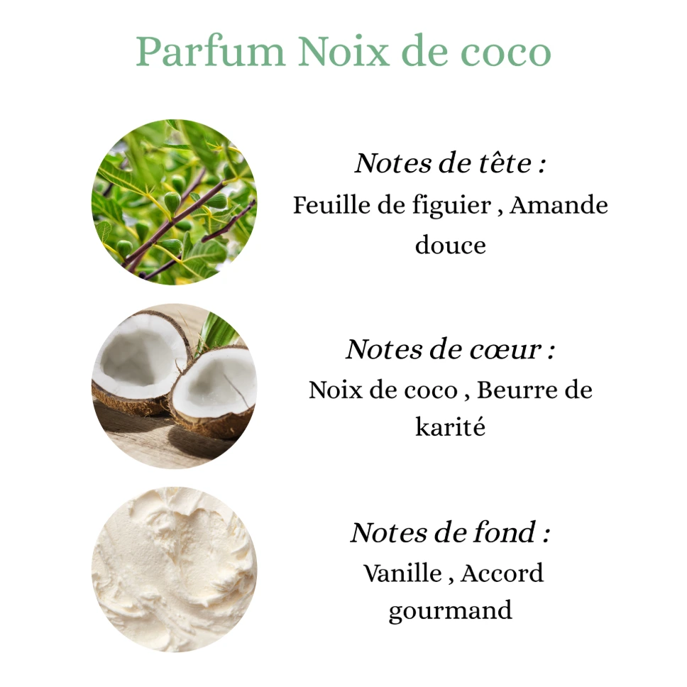 Pyramide senteurs (15).png