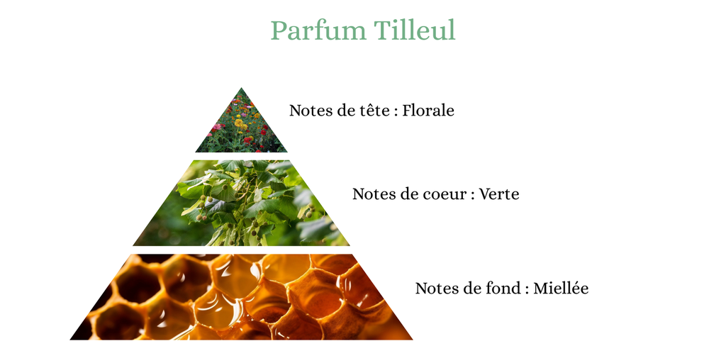 Pyramide senteurs (16).png