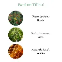 Pyramide senteurs (16).png