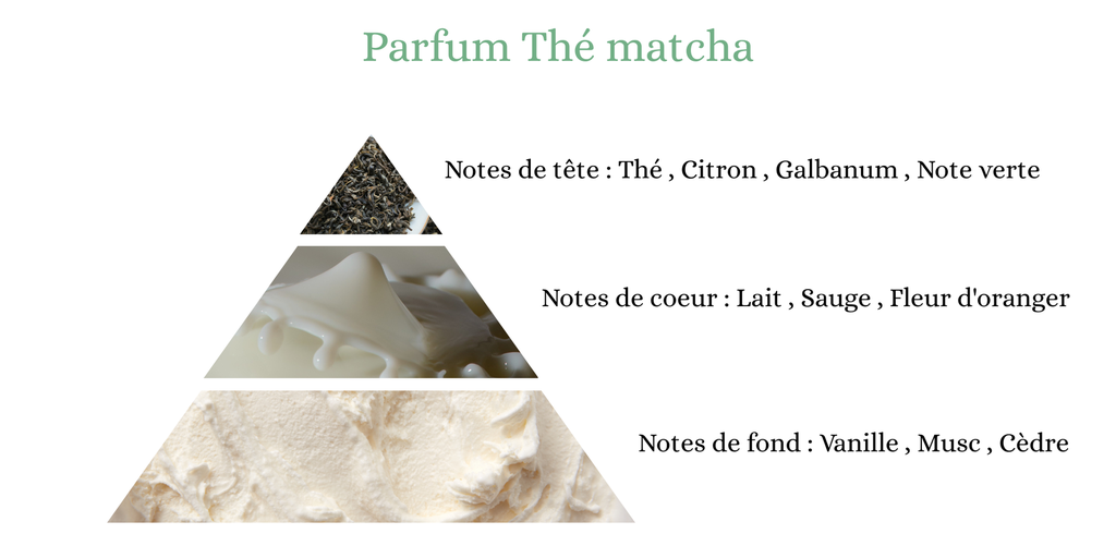 Pyramide senteurs (18).png