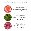 Pyramide senteurs (23).png