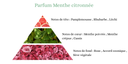 Pyramide senteurs (23).png