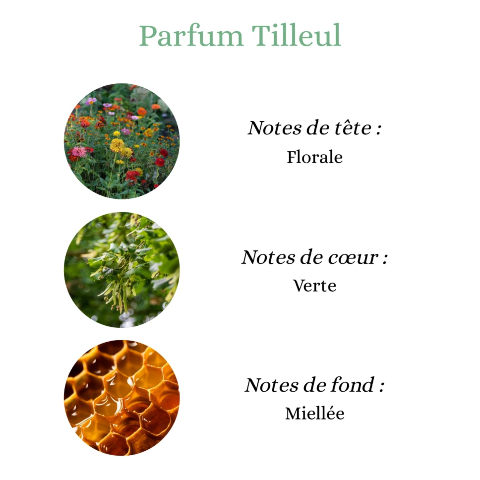 Pyramide senteurs (25).png