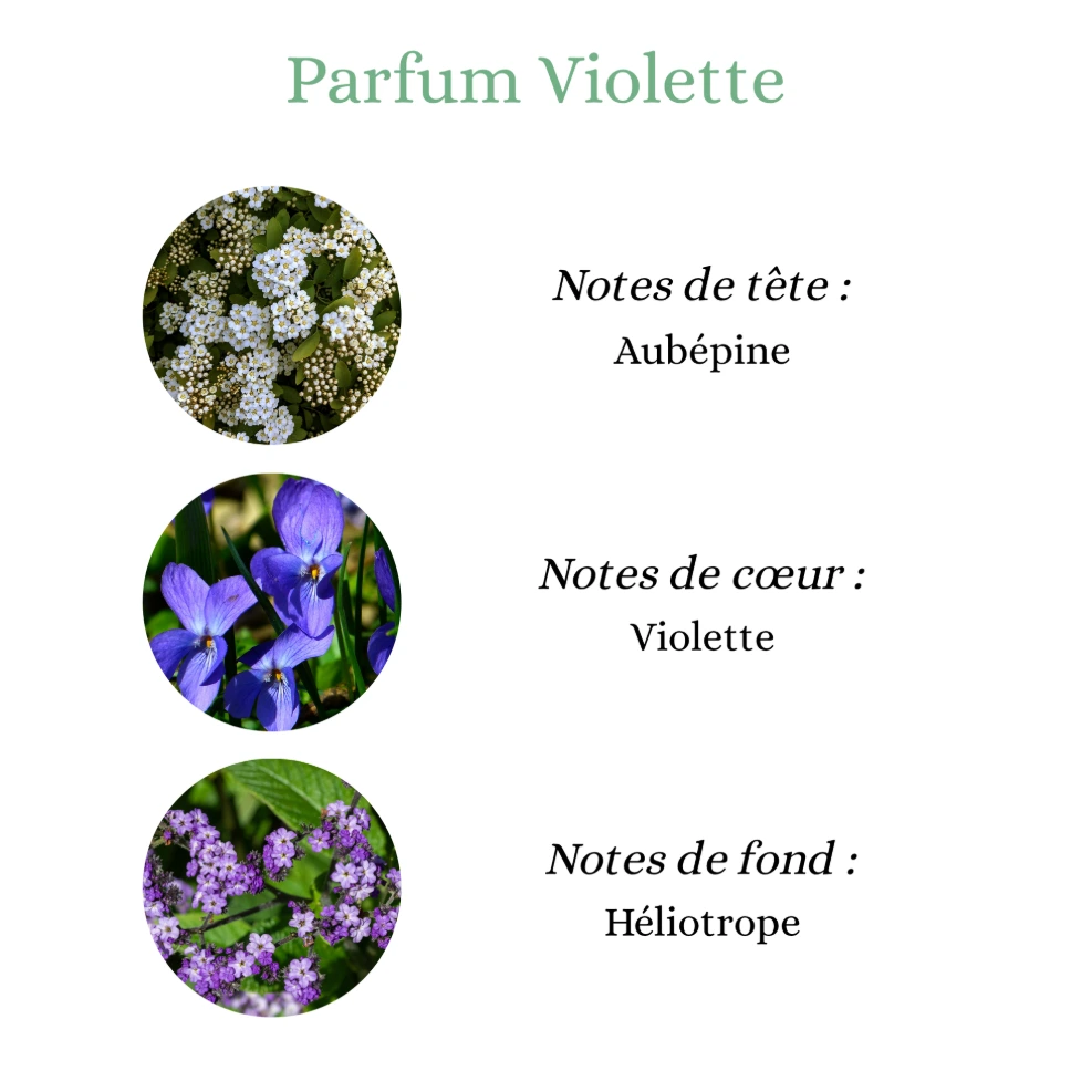 Pyramide senteurs (27).png