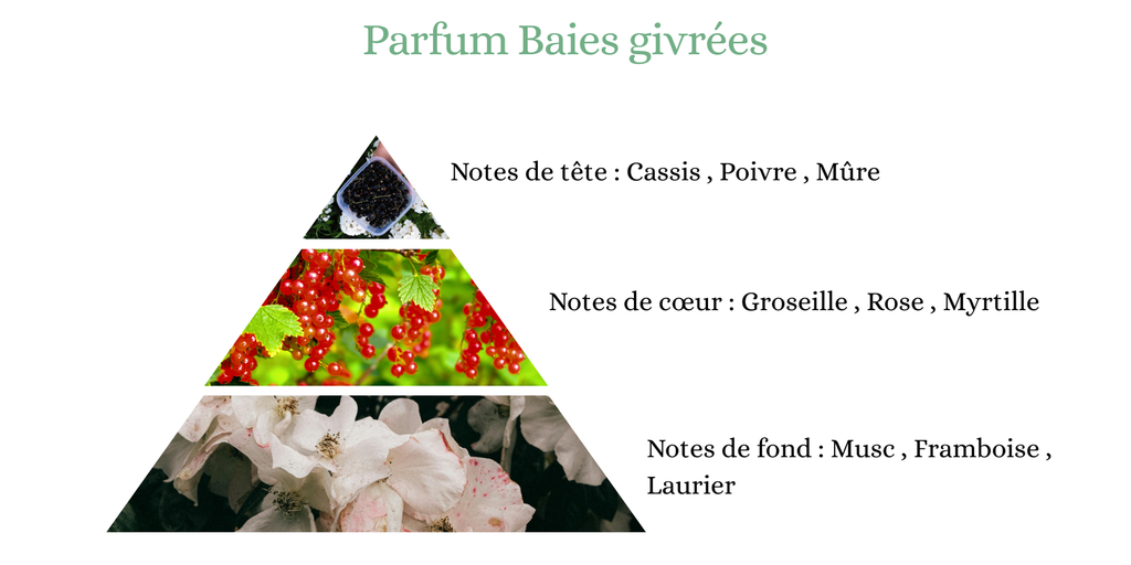 Pyramide senteurs (28).png