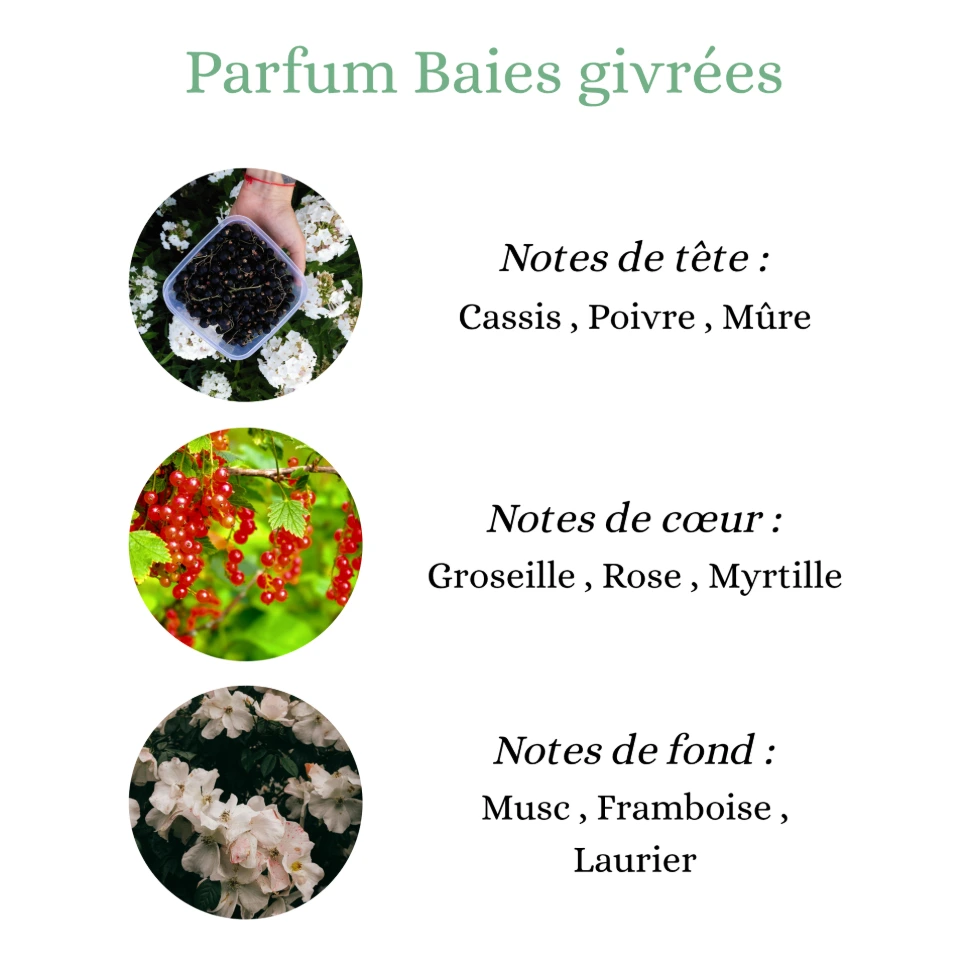 Pyramide senteurs (28).png