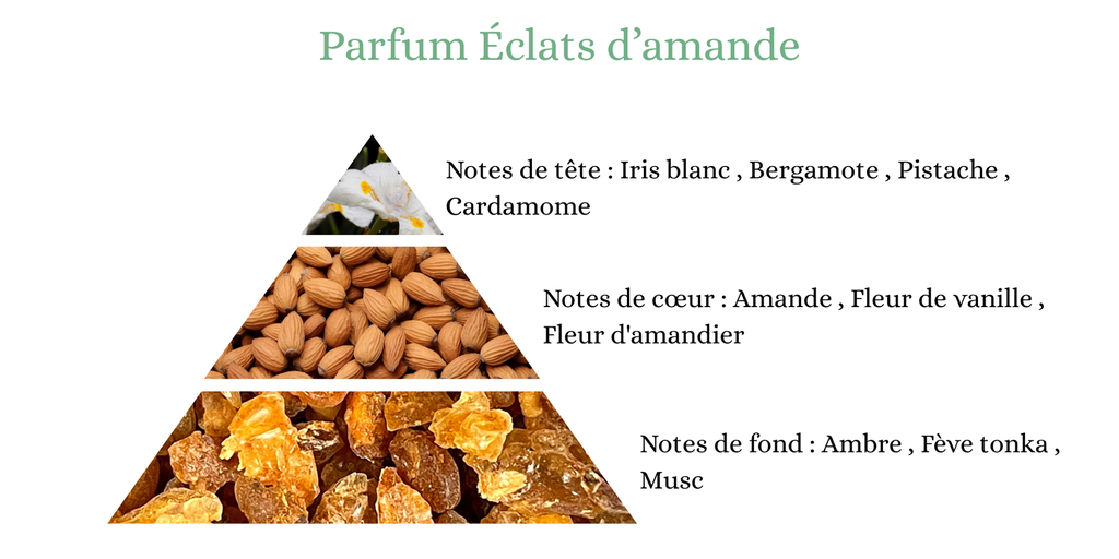 Pyramide senteurs (31).png