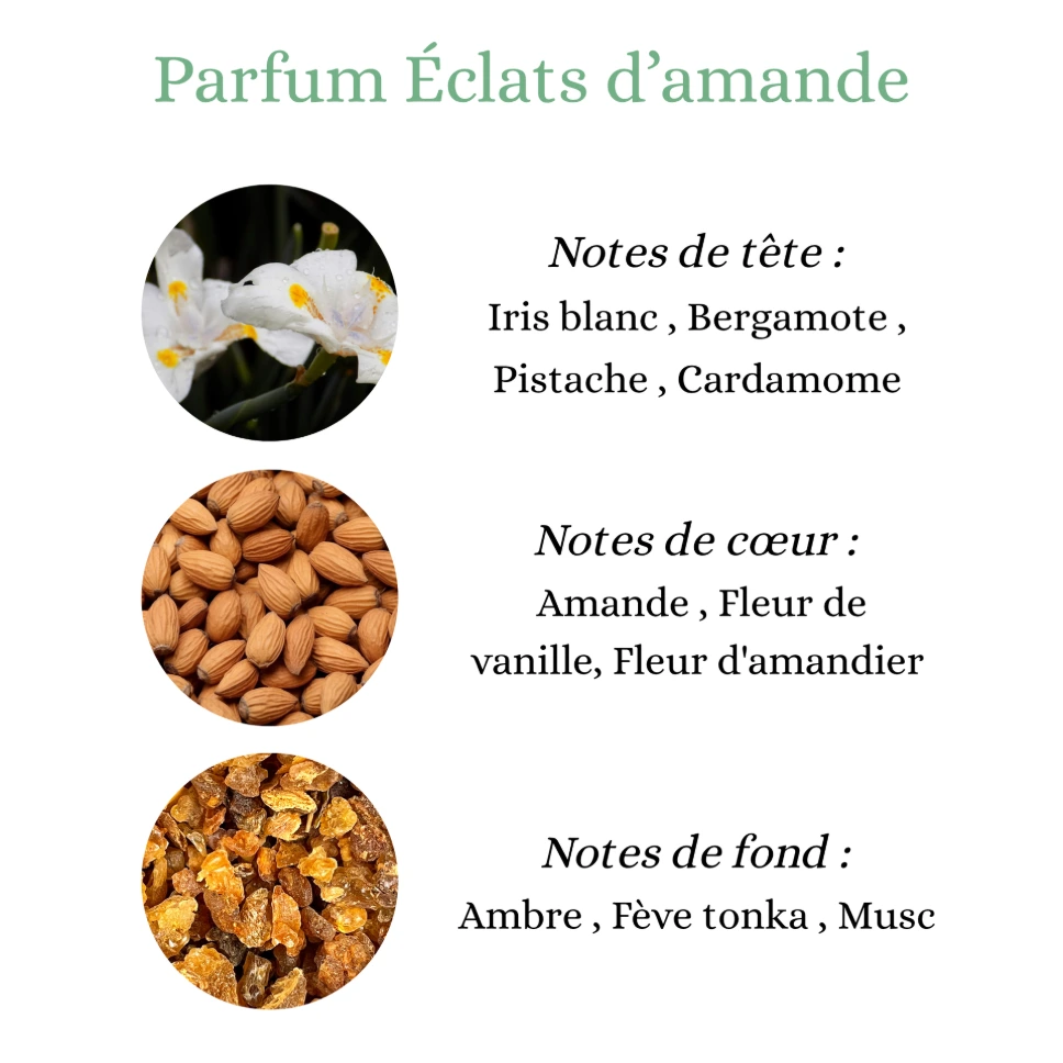 Pyramide senteurs (31).png