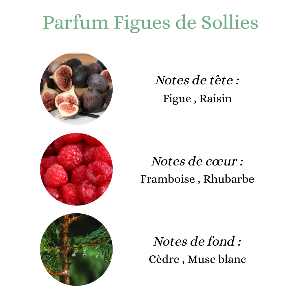 Pyramide senteurs (35).png