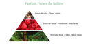 Pyramide senteurs (35).png