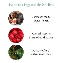 Pyramide senteurs (35).png