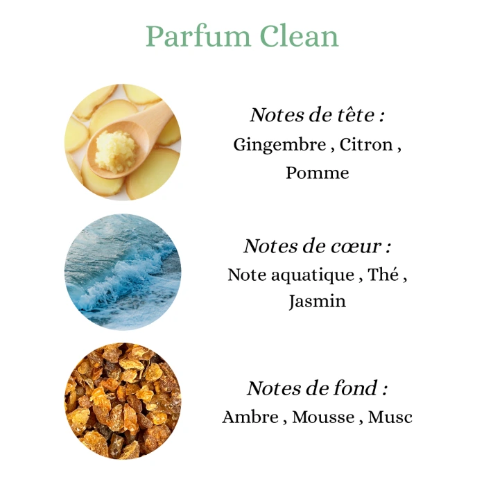 Pyramide senteurs (36).png