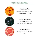 Pyramide senteurs (38).png