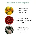 Pyramide senteurs (1).png