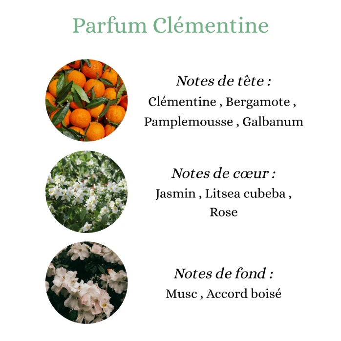 Pyramide senteurs (2).webp