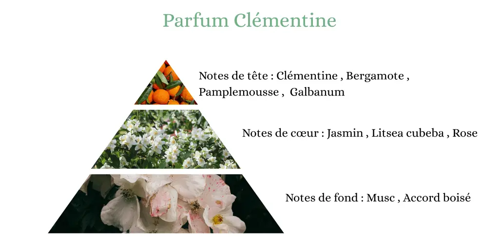 Pyramide senteurs (2).webp