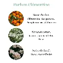 Pyramide senteurs (2).webp