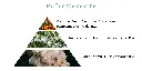 Pyramide senteurs (2).webp