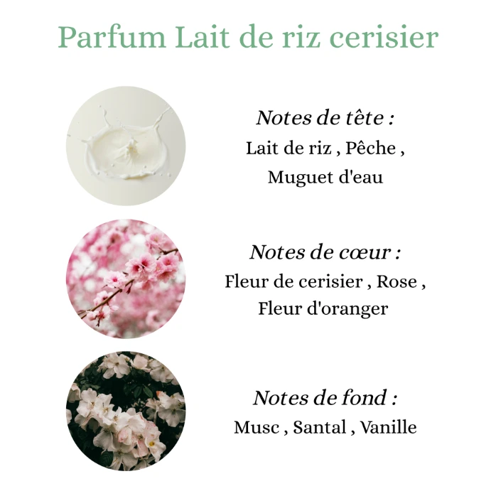 Pyramide senteurs (4).png