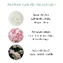 Pyramide senteurs (4).png