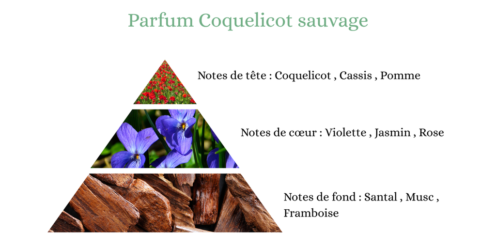 Pyramide senteurs (5).png