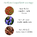 Pyramide senteurs (5).png