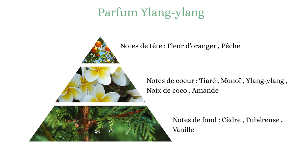 Pyramide senteurs (6).png