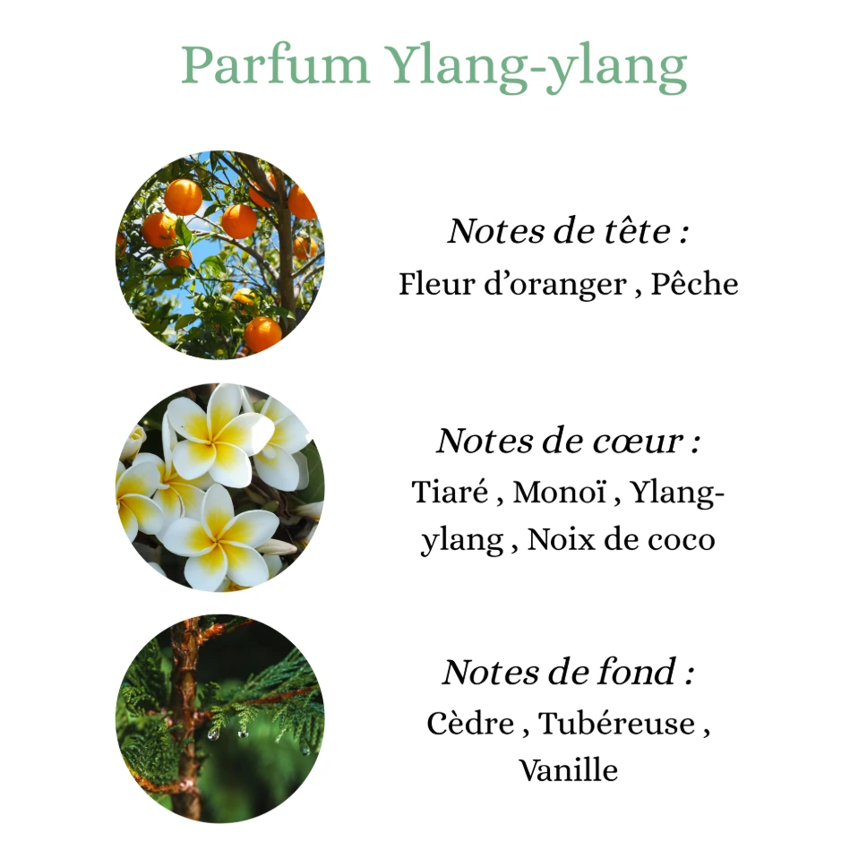 Pyramide senteurs (6).png