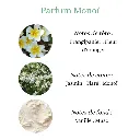 Pyramide senteurs (9).png