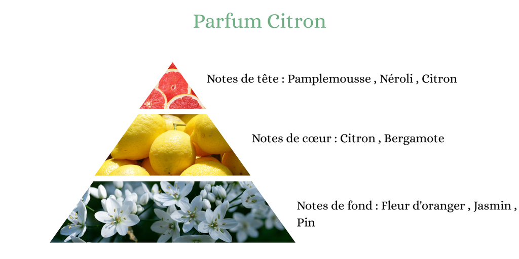 Pyramide senteurs (13).png