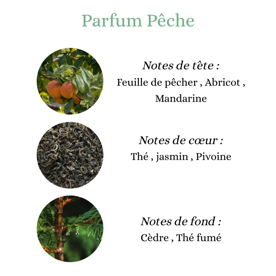 Pyramide senteurs (14).png