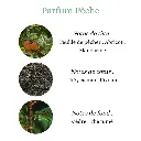 Pyramide senteurs (14).png